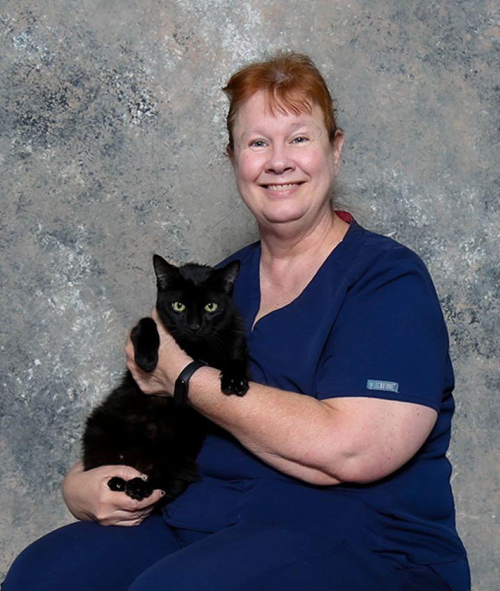 Tracy Hubbard, DVM, Cat-Friendly Vet